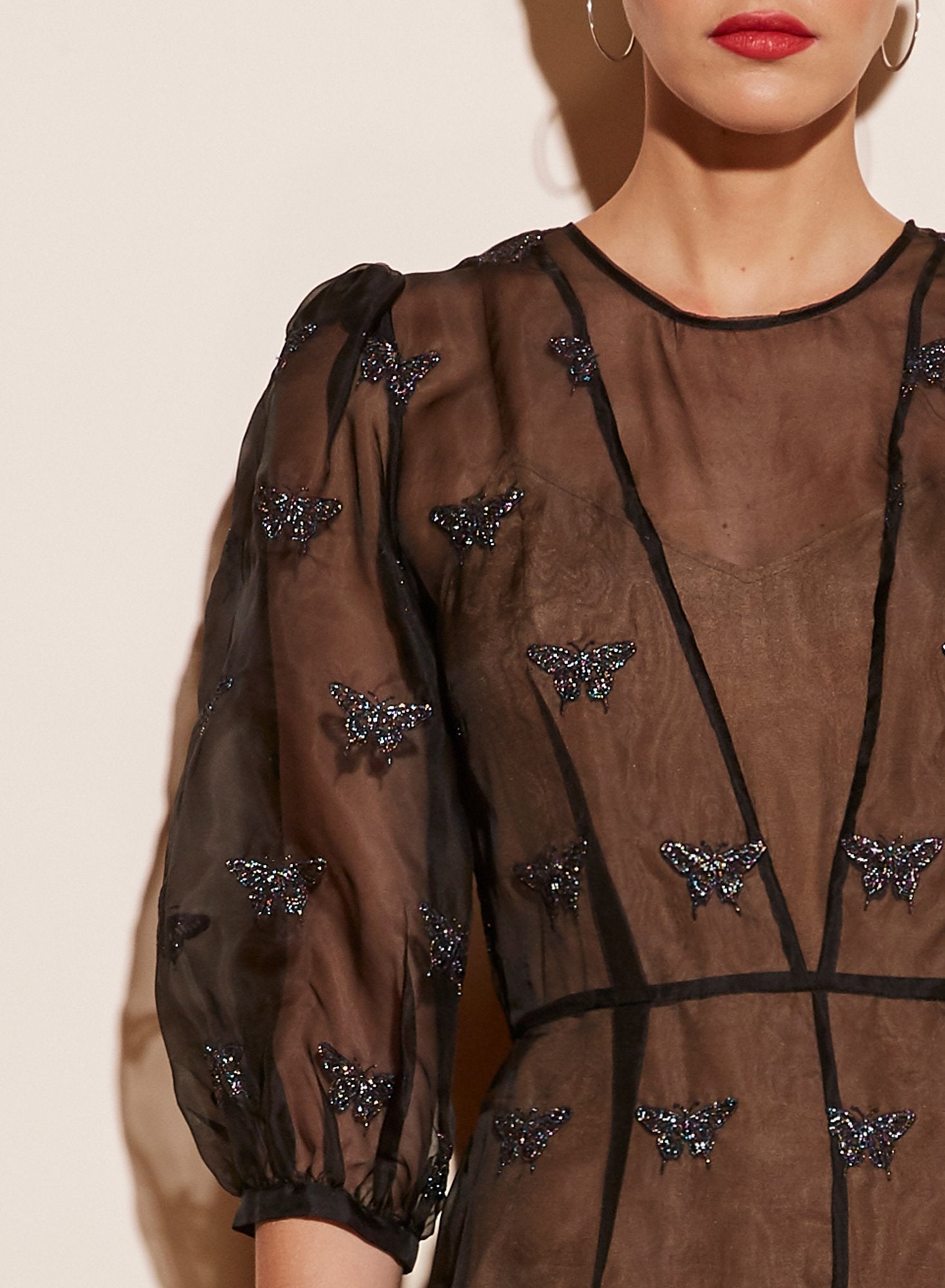Embroidered Puff Sleeve Dress With Slip