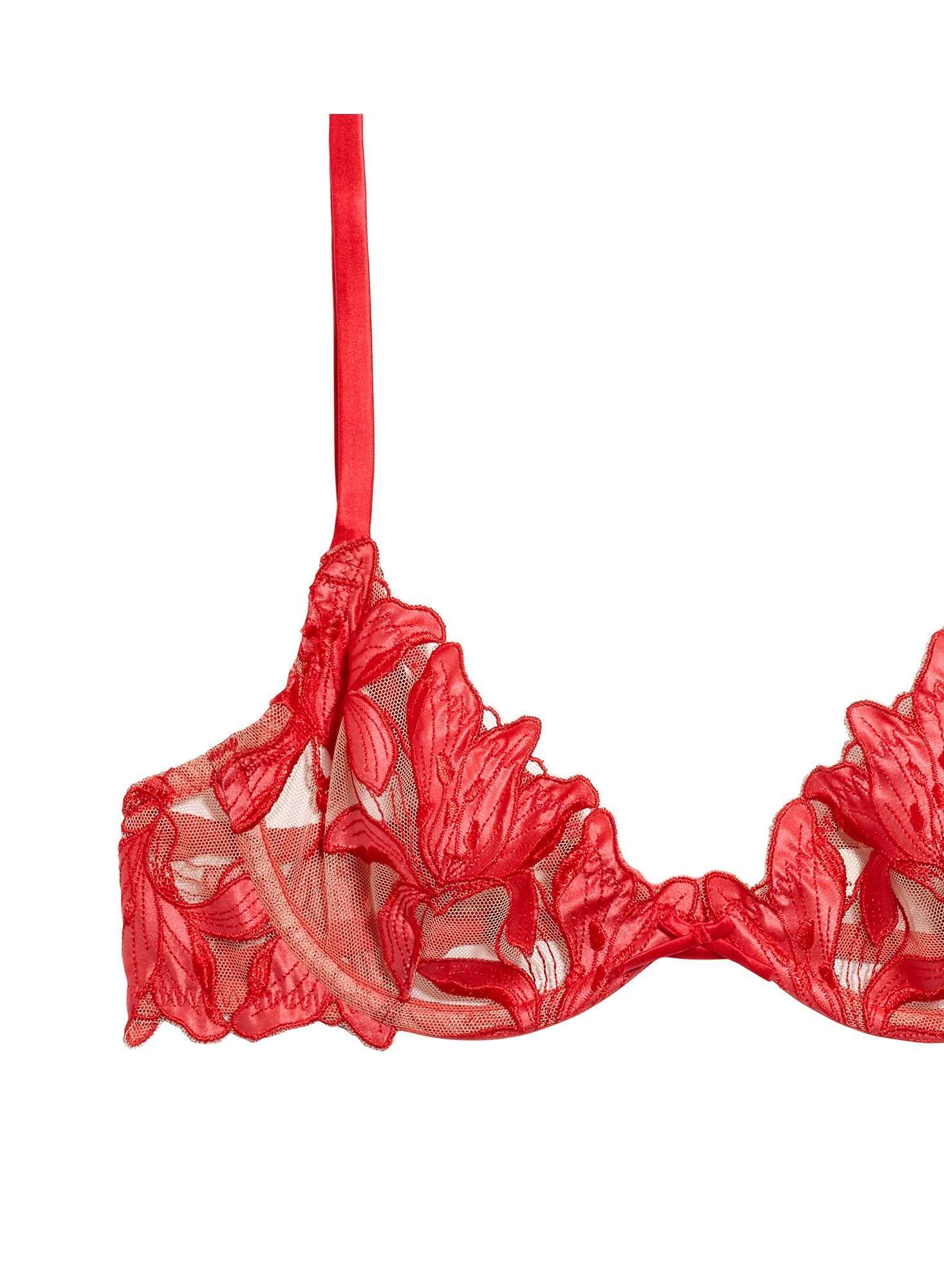 Lily Embroidery Plunge Demi Bra