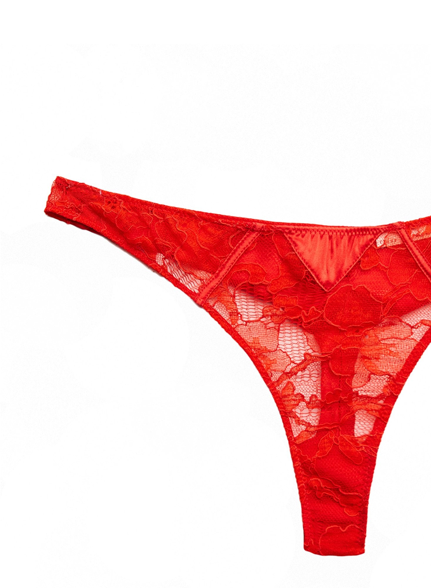 Magnolia Lace Thong