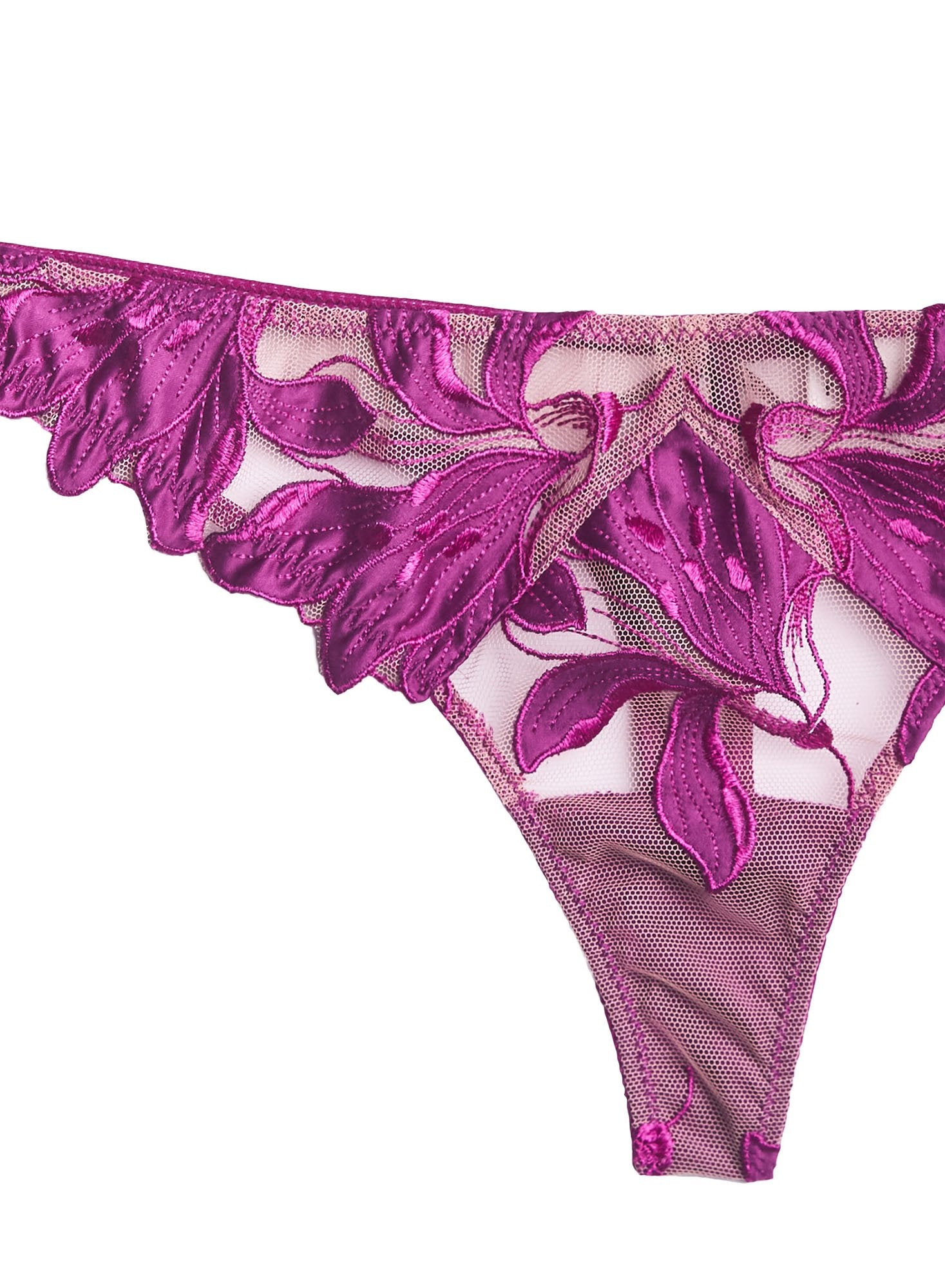 Lily Embroidery Hipster Thong