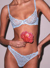 body