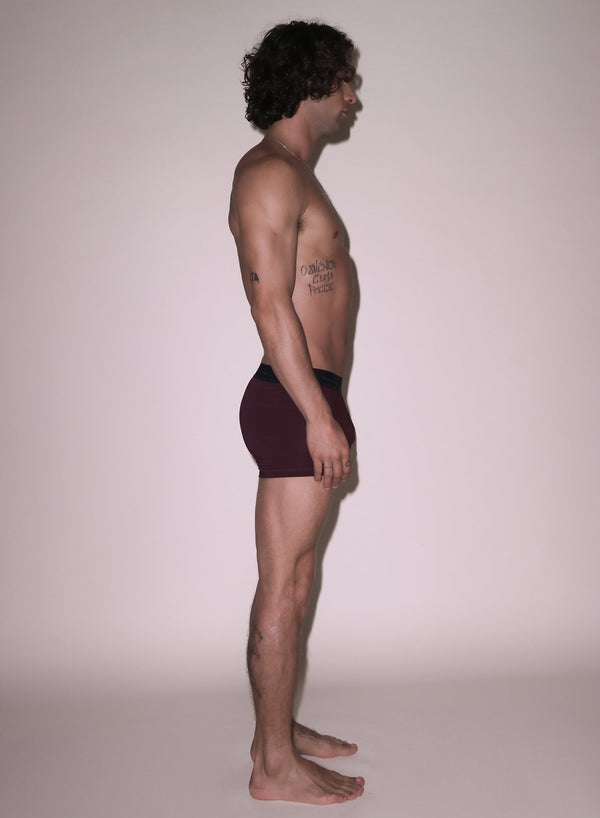 Blackberry - Men&#39;s Boxer Brief | Fleur du Mal - DEMO