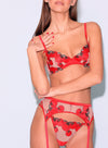 body