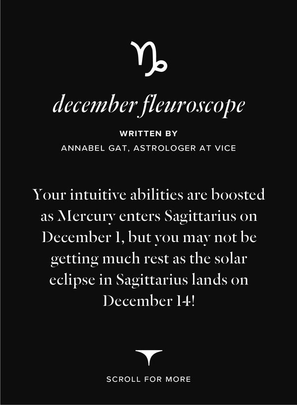  - capricorn 1 of 3 | Fleur du Mal - DEMO