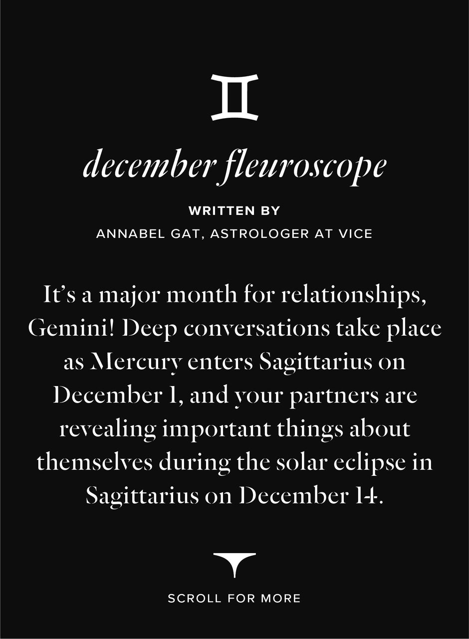  - gemini 1 out of 3 | Fleur du Mal - DEMO