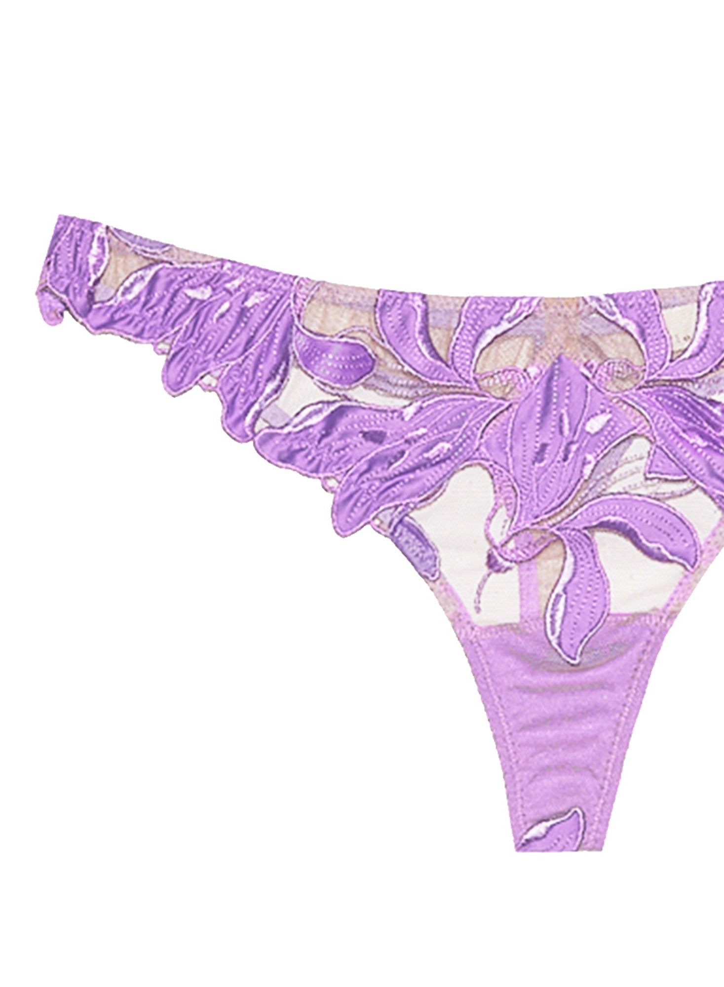 Lily Embroidery Hipster Thong