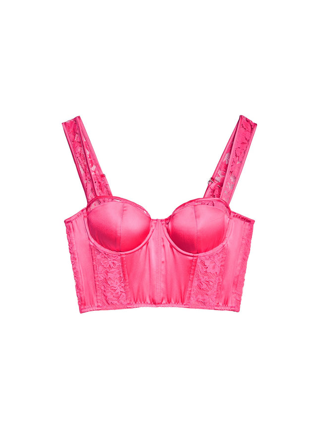 Plum rose - Lace Insert Bustier | Fleur du Mal - DEMO